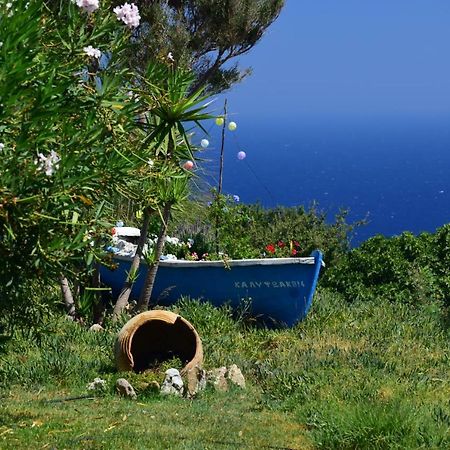 דירות אבדילוס Panoramma Hause, Kampos Evdilou,Ikaria מראה חיצוני תמונה